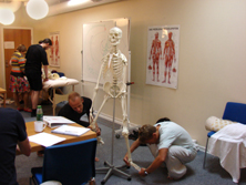 Anatomiundervisning
